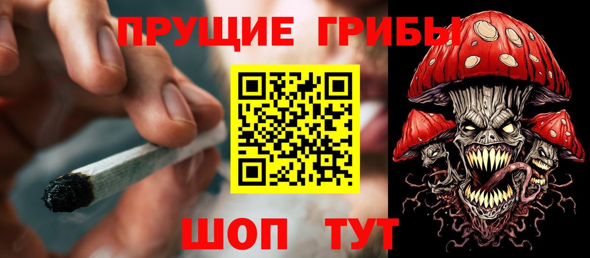 Галлюциногенные грибы мухоморы Салават