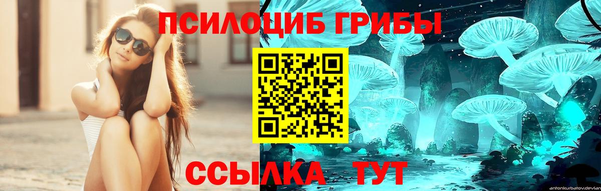 Галлюциногенные грибы MAGIC MUSHROOMS Салават