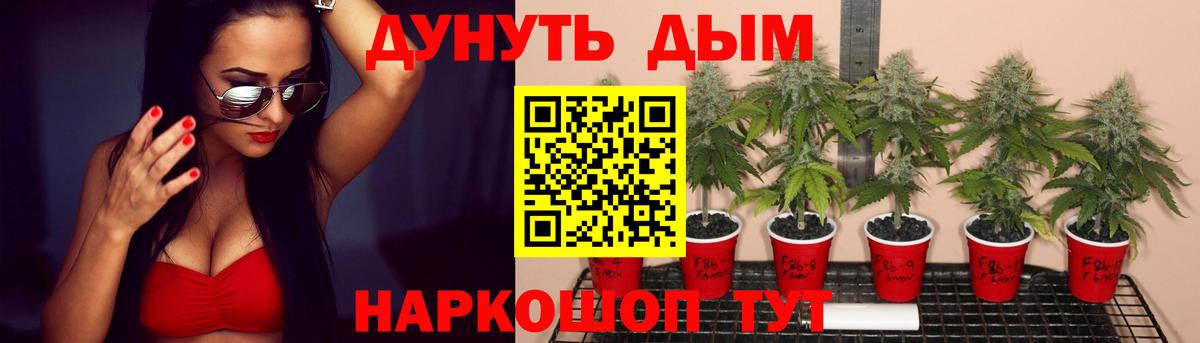 Канабис ГИДРОПОН Салават